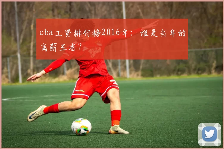 cba工资排行榜2016年：谁是当年的高薪王者？
