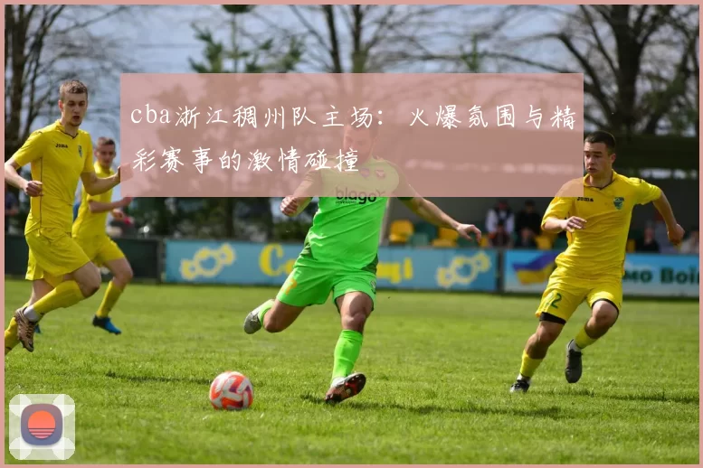 cba浙江稠州队主场：火爆氛围与精彩赛事的激情碰撞