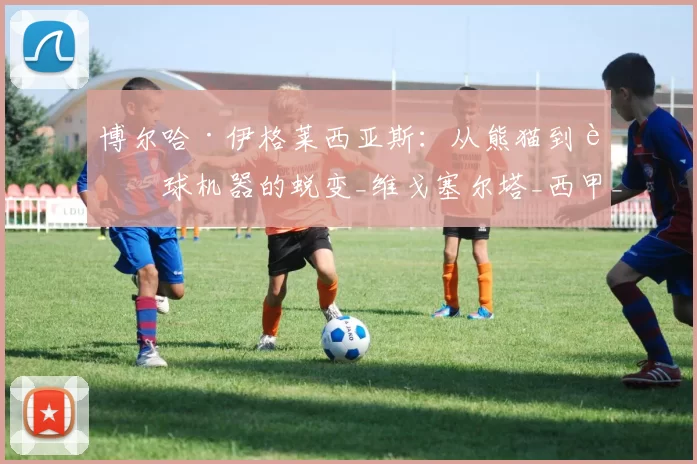 博尔哈·伊格莱西亚斯：从熊猫到进球机器的蜕变_维戈塞尔塔_西甲_能力